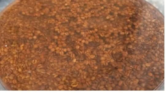 Customizable Epoxy Clear Resin Coffee Bean Dining Table for 2, 4 Epoxy Coffee Table Top, Living Room Table, Home Office Table, Bar Counter-Tuzech store