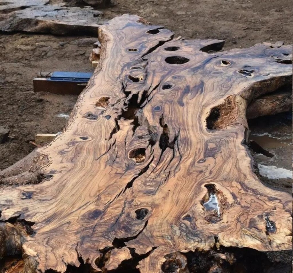 Natural Live Edge Slabs Live Edge Table Top Dining Table Bar Counter Home Décor End Table Patio Table Confrence Table Coastal Table - resinhomefurniture