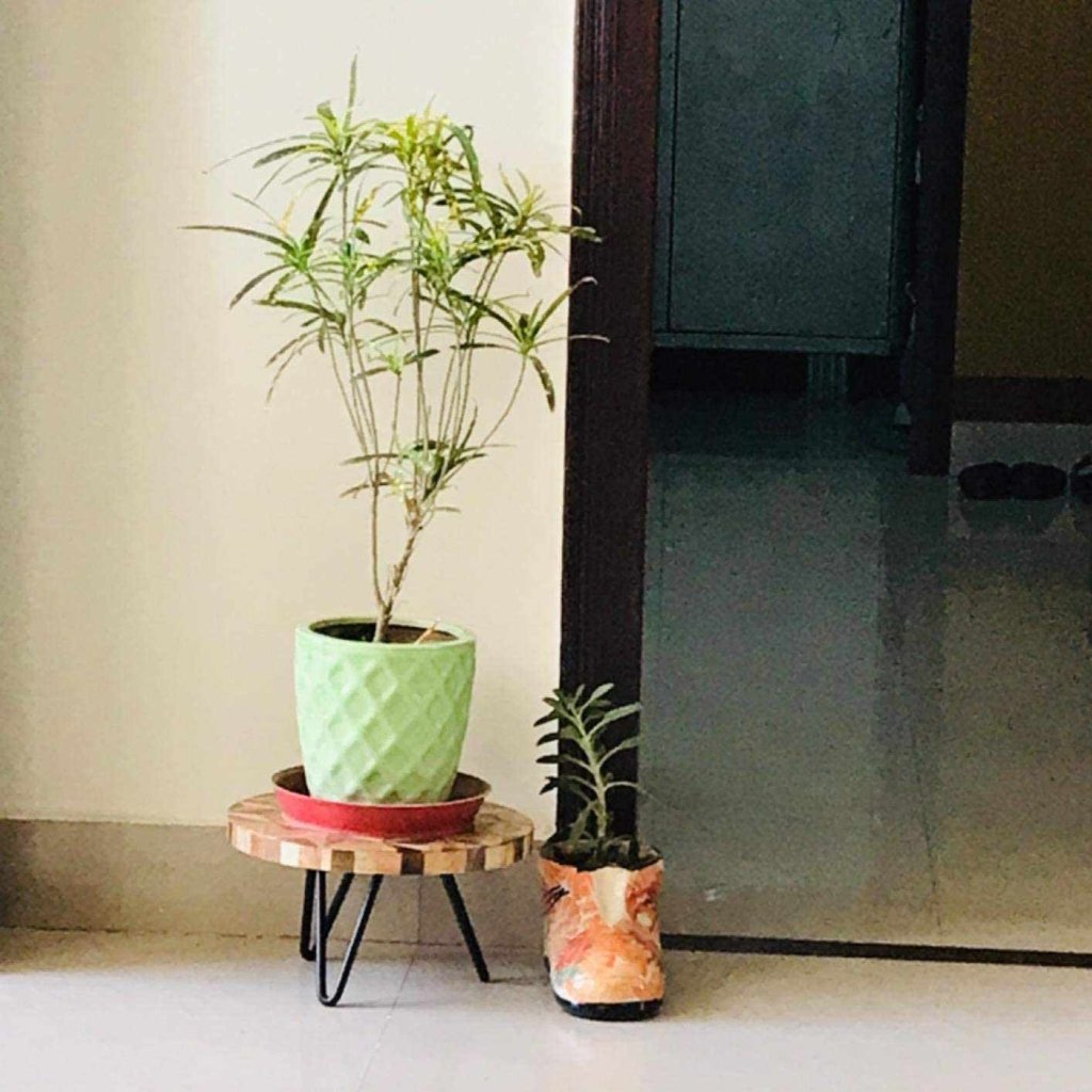 TUZECH Casa Decor Cake, Plant, Showpiece Decorative Stand for Home, Living Room, Dinning Table - resinhomefurniture