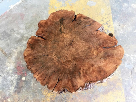 TUZECH Unique Live Edge Crosscuts Epoxy Resin Coffee Table Living Room Table Console Table Study Table Hallway Table Central Table End/Side Table - resinhomefurniture